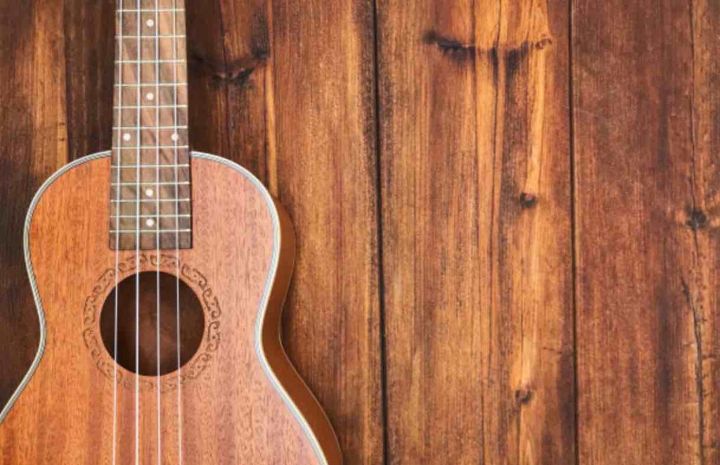 Jakie ukulele kupić dla początkującego?