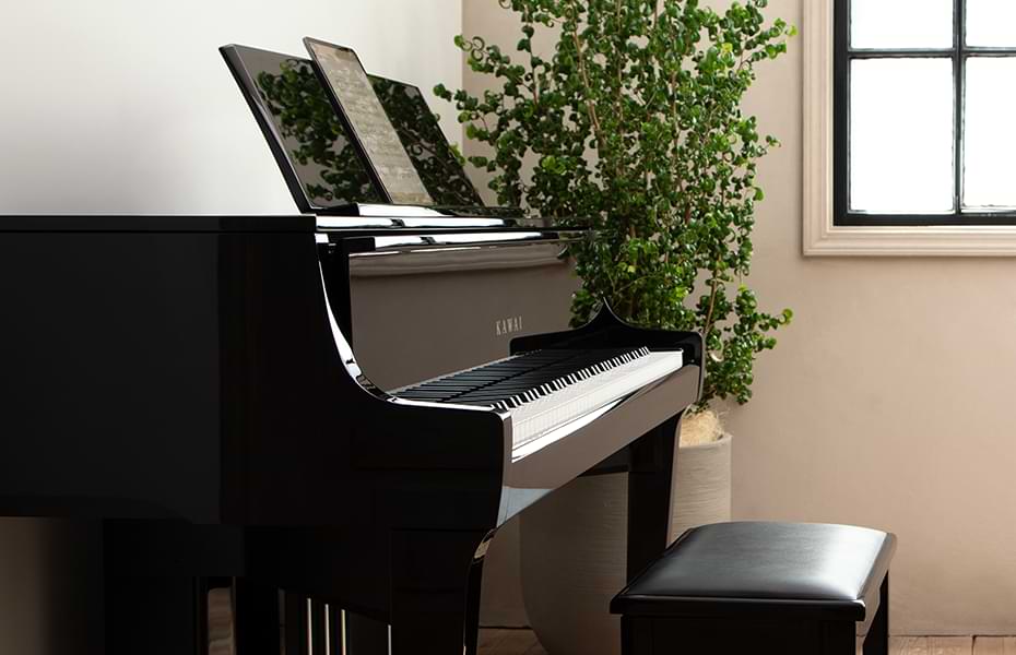 Kawai Novus NV-10s